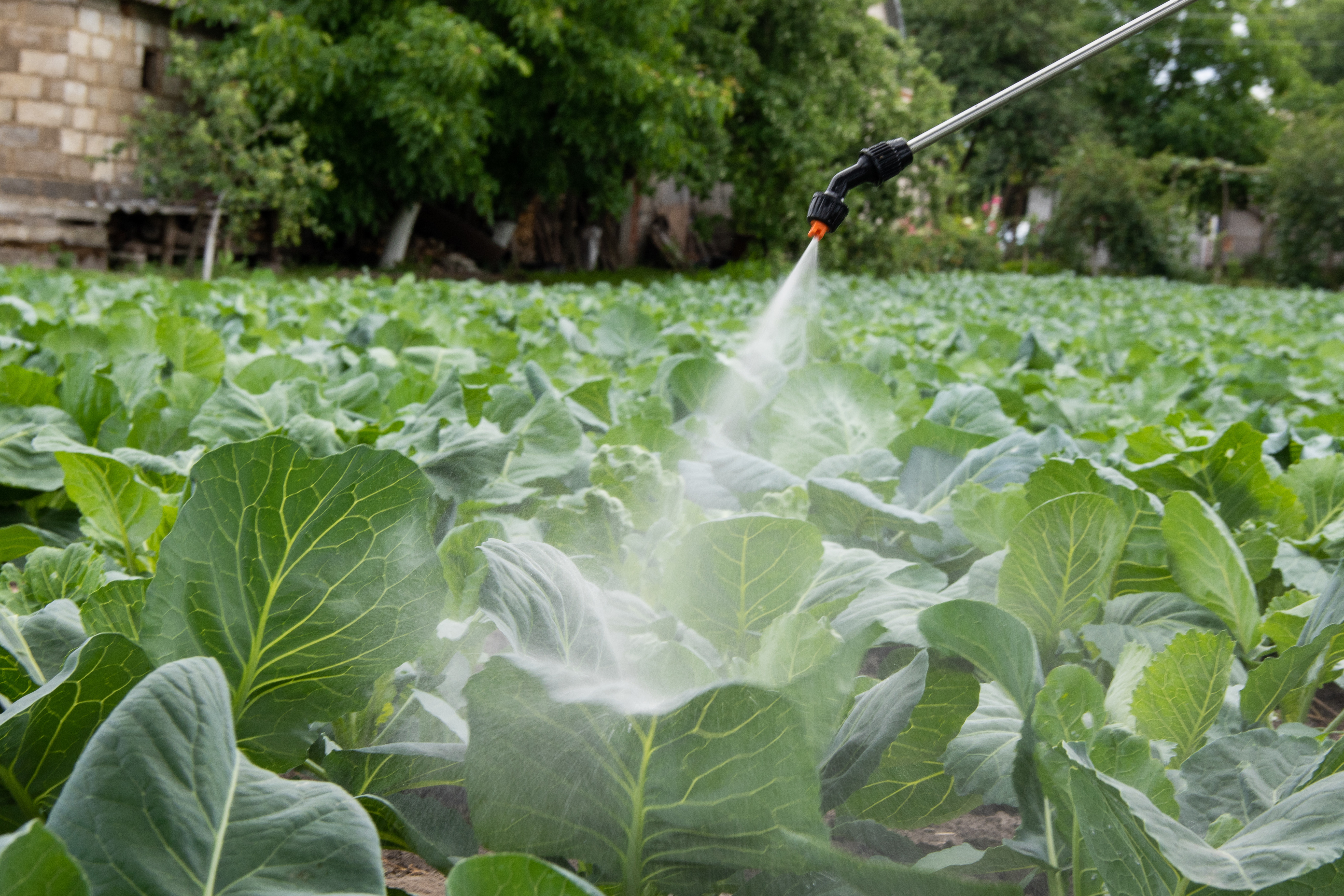 Agricultura Moderna :: Herbicidas