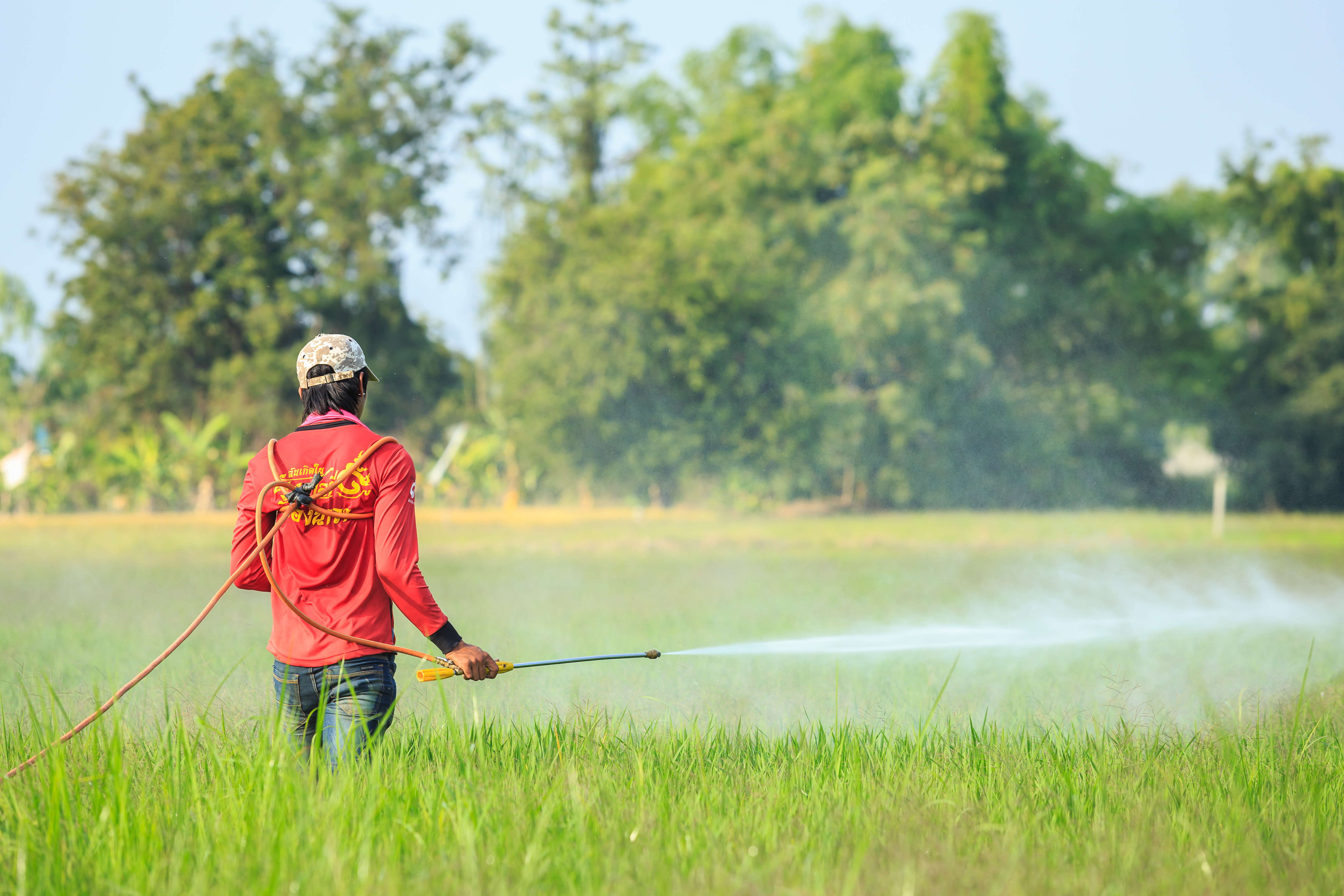 Agricultura Moderna :: ¿Qué Es Un Fertilizante Y Para Qué Se Utiliza?