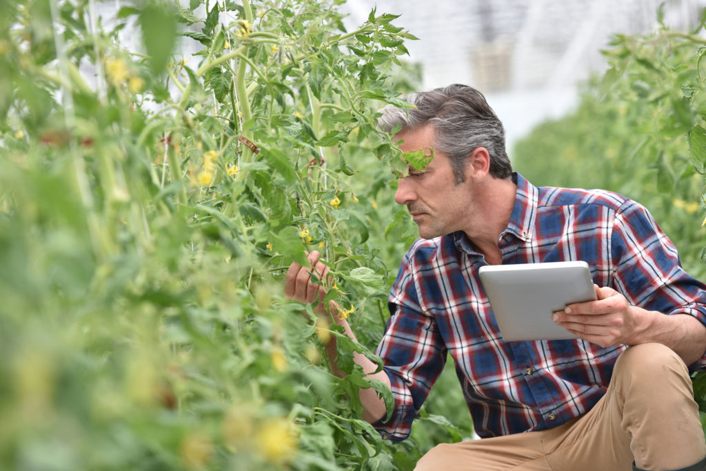 Agricultura Moderna :: 5 Innovaciones Que Están Transformando La ...