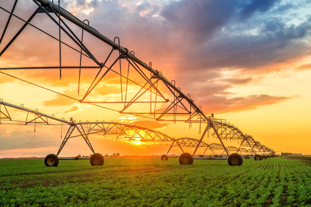 Agricultura Moderna :: En busca de métodos agrícolas intensivos más ...